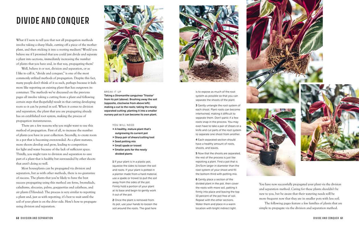Propagation Handbook by Hilton Carter
