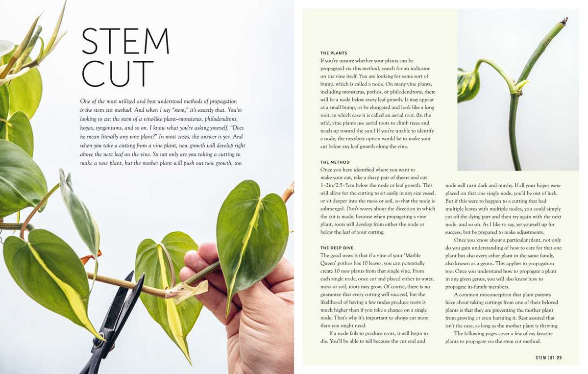 Propagation Handbook by Hilton Carter