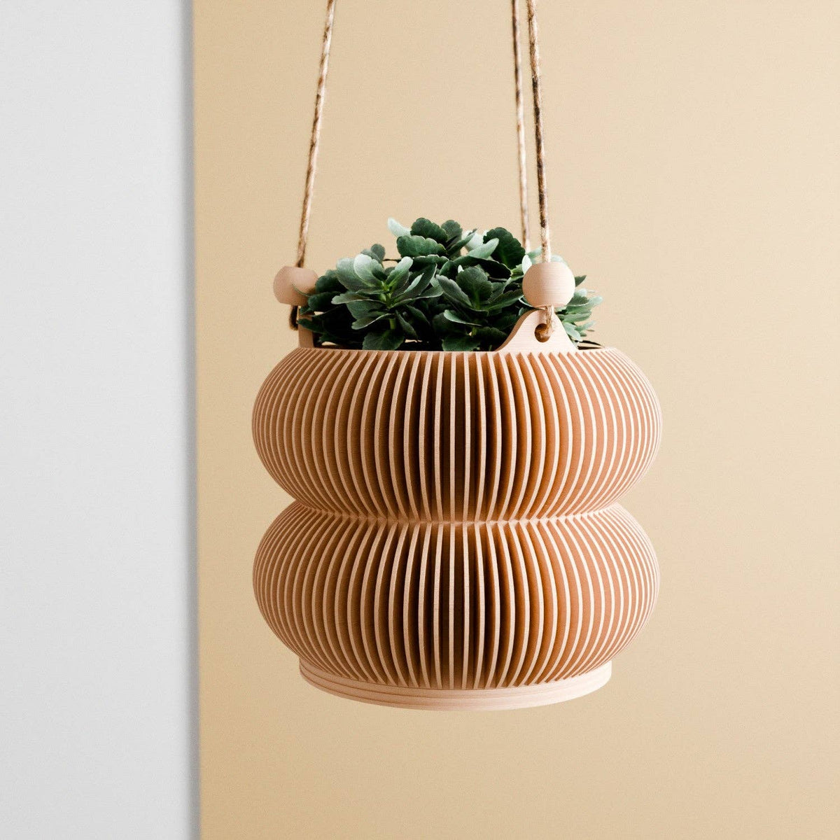 Hanging Bubble Planter | Double Bubble Collection