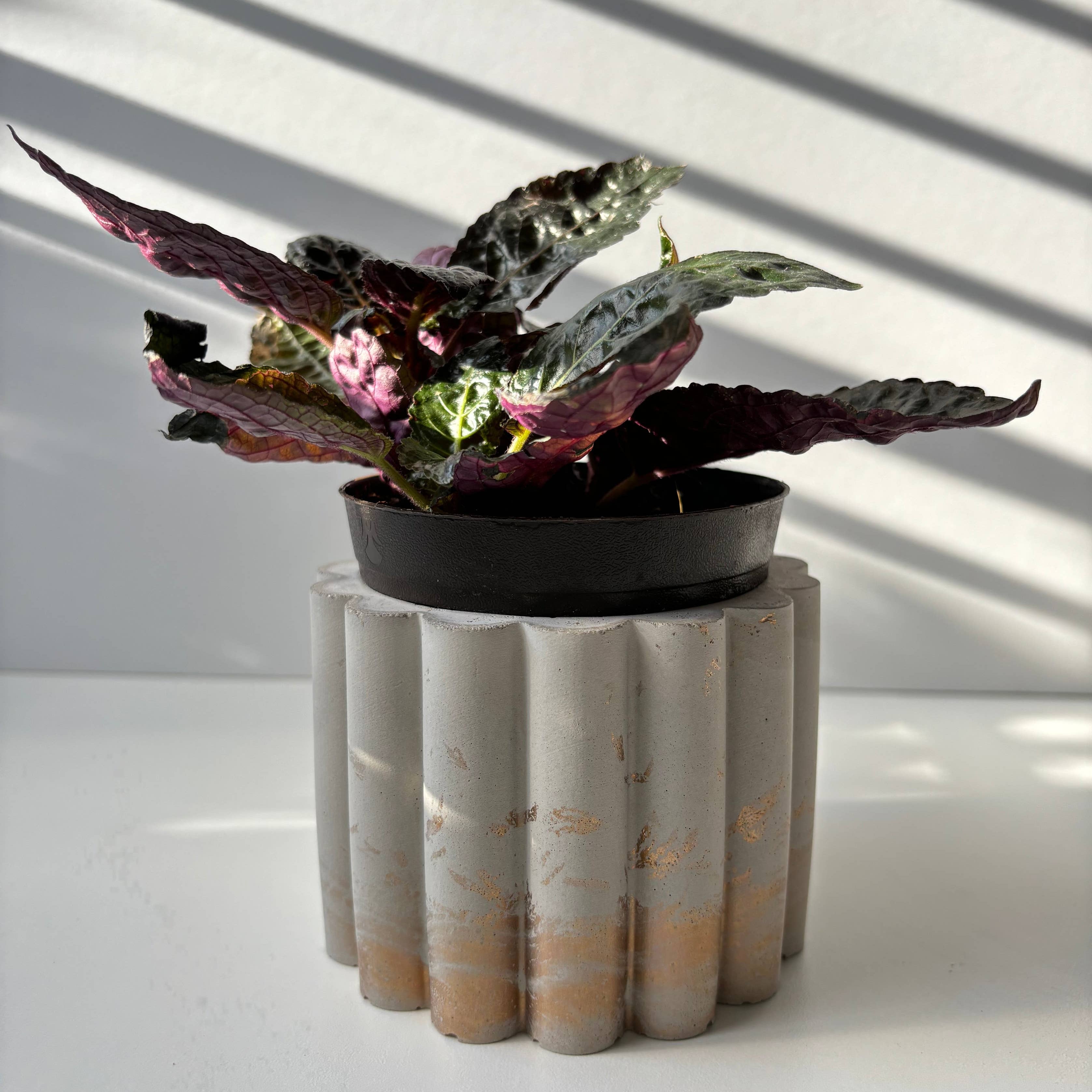 Daisy Planter Pot 3 7/8"