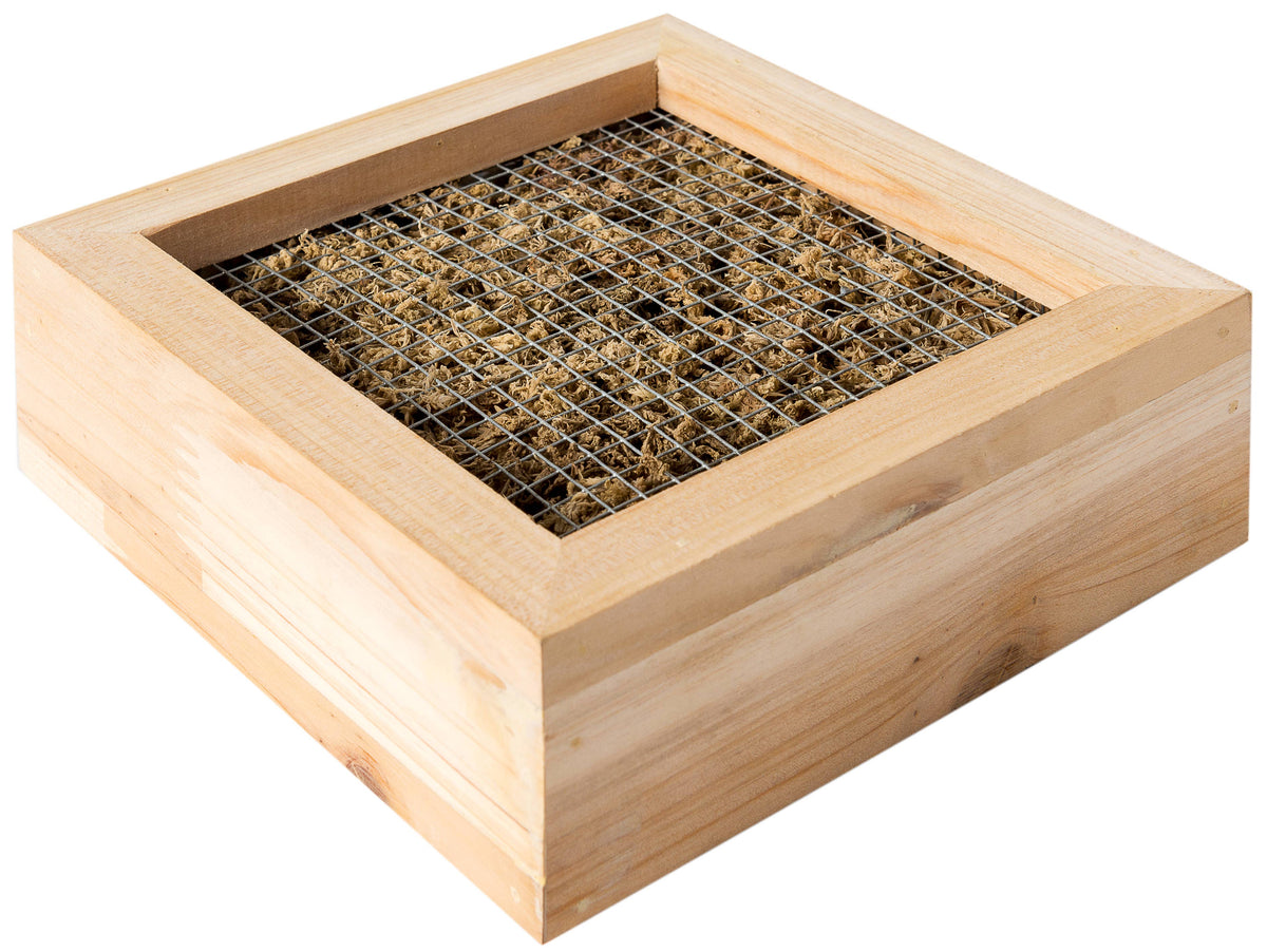 Sphagnum Moss Living Frame