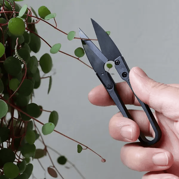 The Good Snips - Bonsai pruning shears