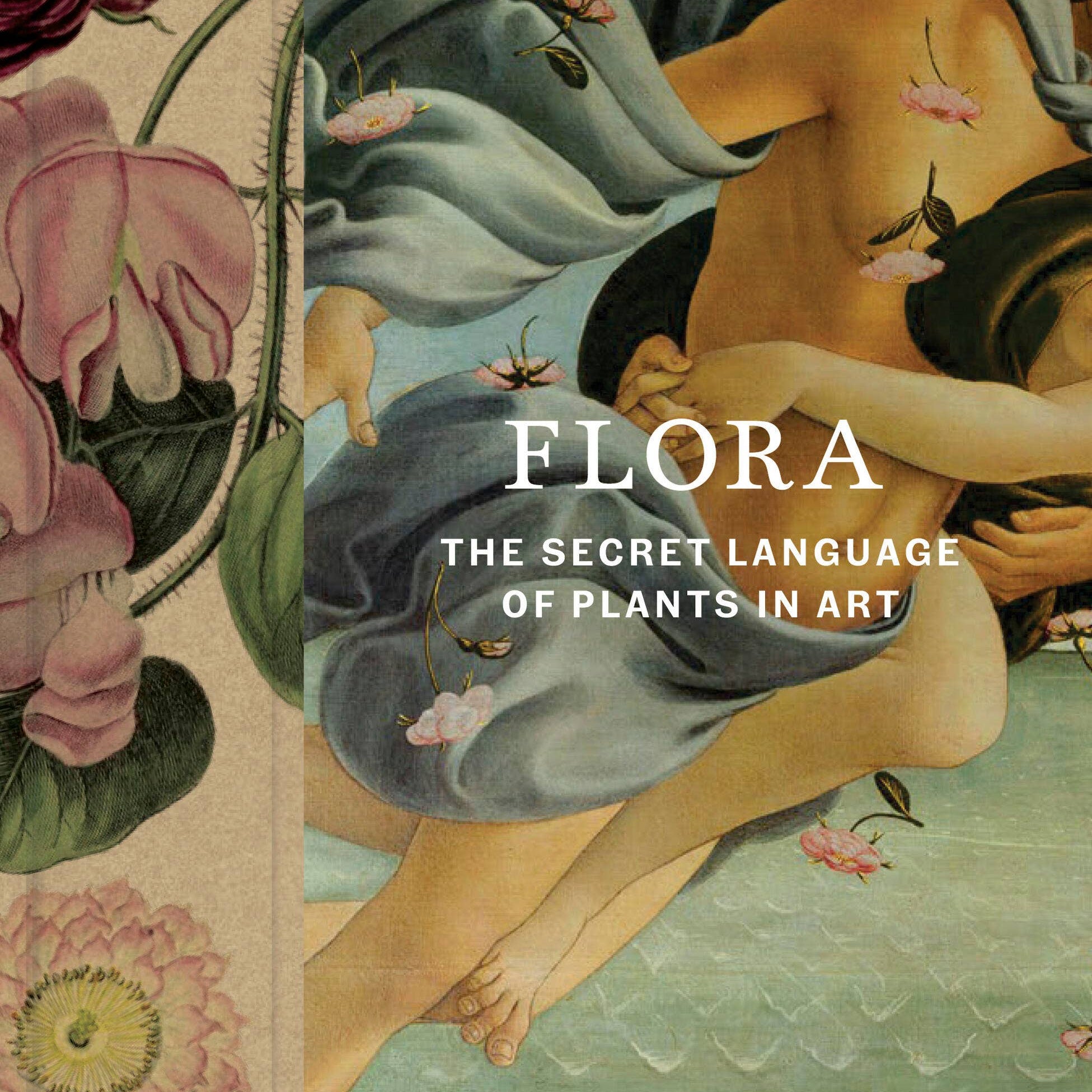 Flora: The Secret Language of Plans in Art