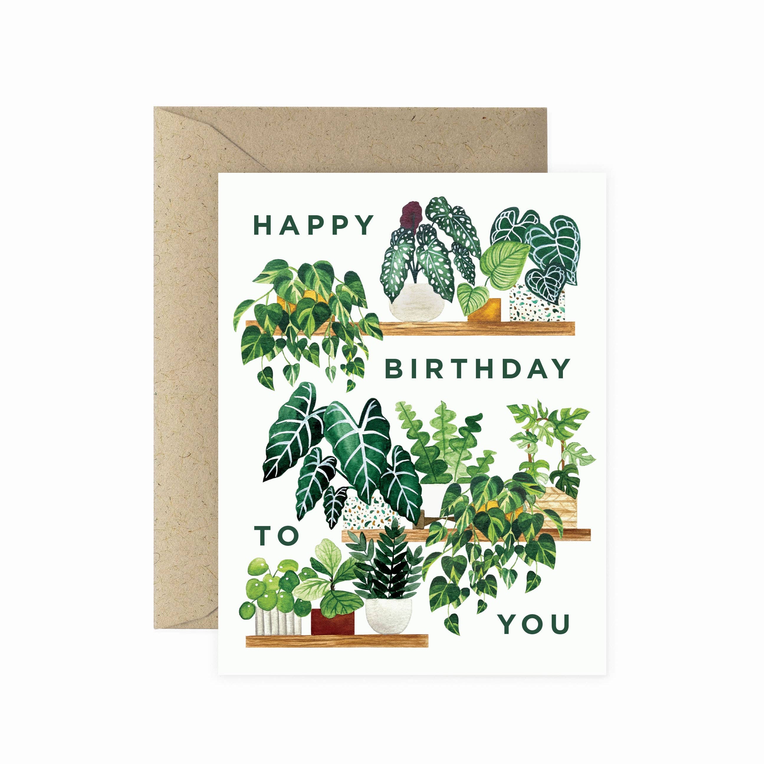 Plant Shelf Happy Birthday Greeting Card | Houseplants Card