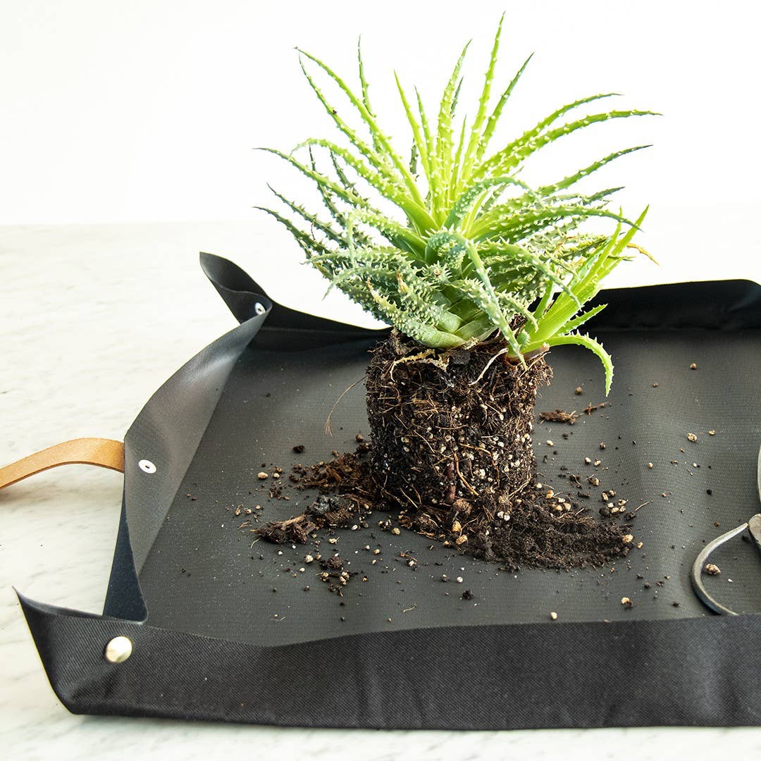 Potting tarp for urban gardening