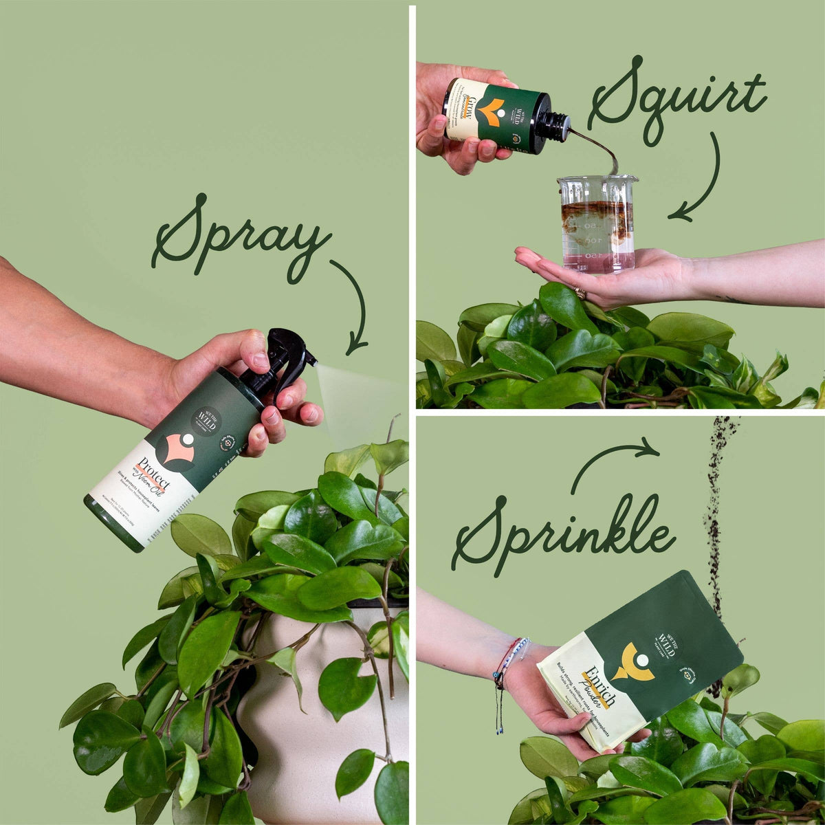 Houseplant Care Essentials Organic Starter Kit