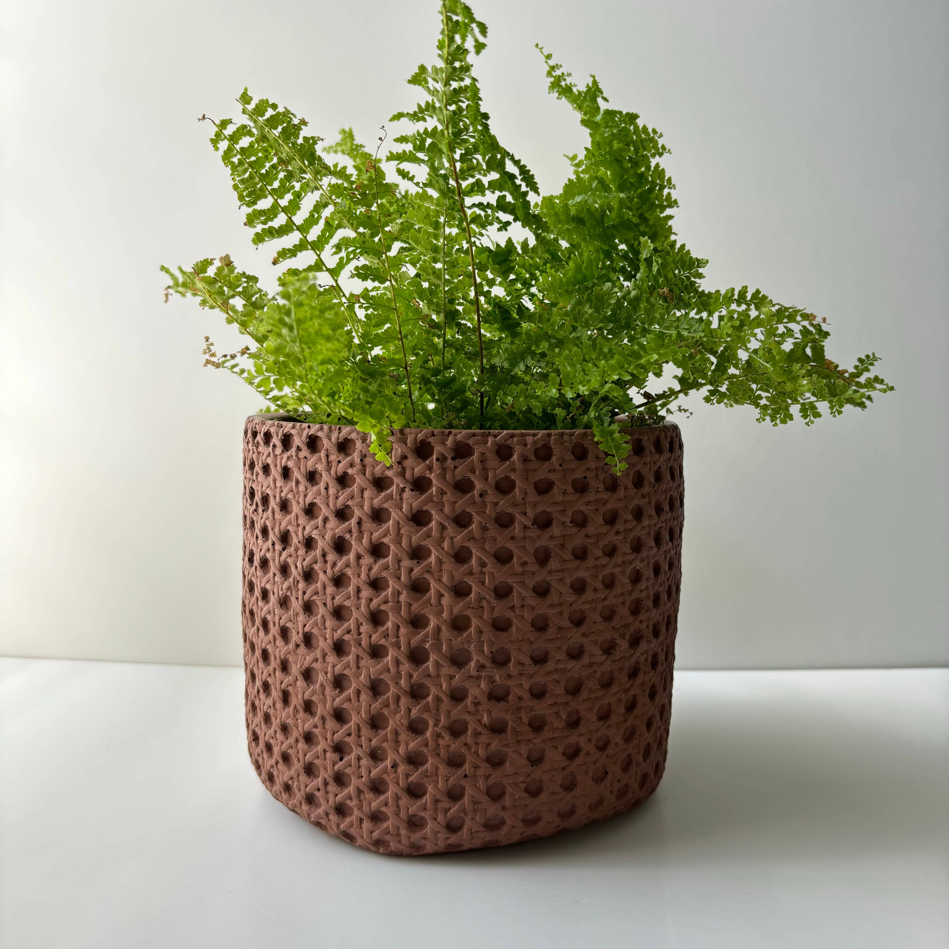 7" Basket Concrete Planter | Rattan Pattern Cement Planter