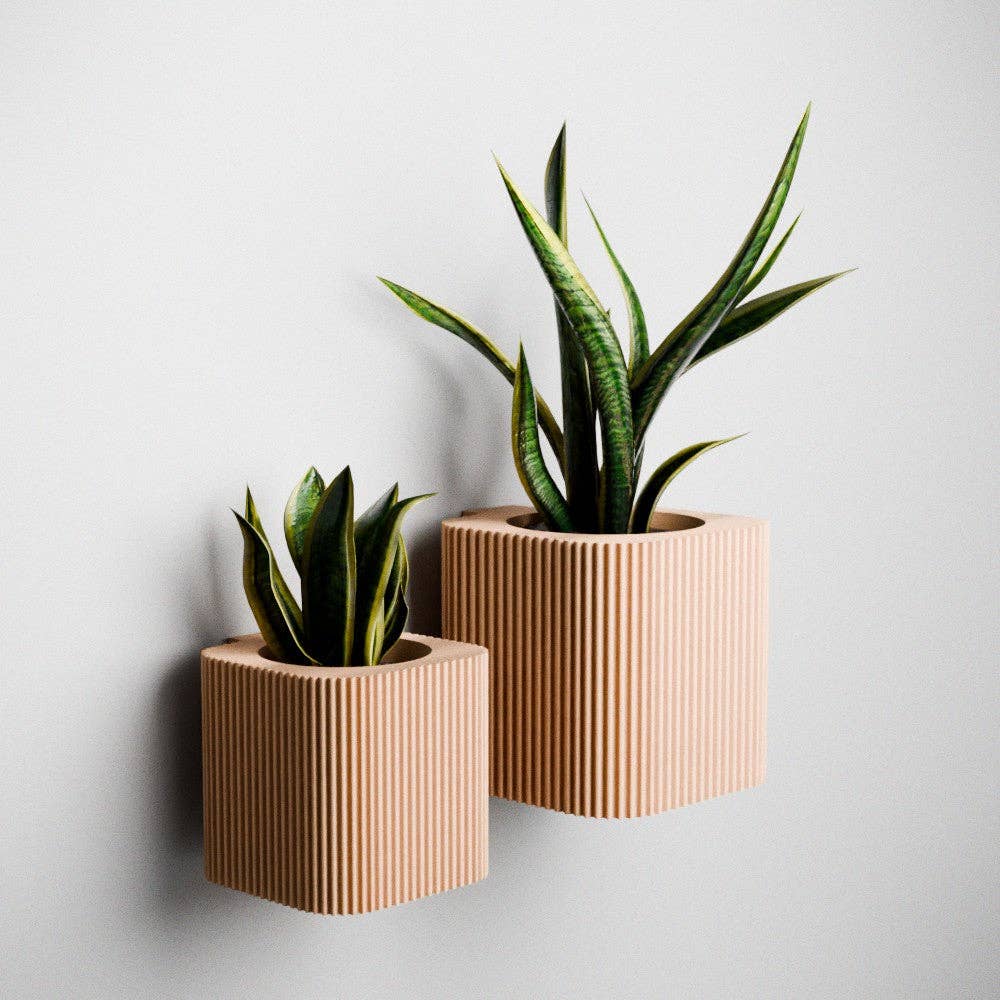 Hanging Wall Planter | Box Collection
