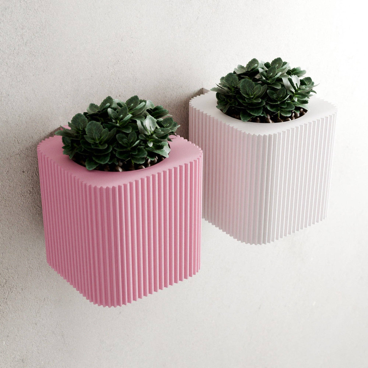 Hanging Wall Planter | Box Collection