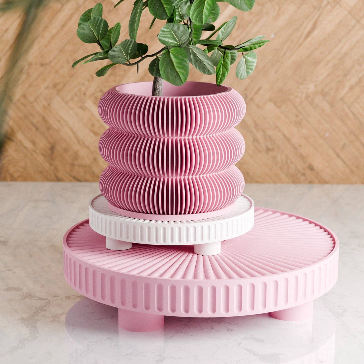 Modern Plant Stand | Podium Collection