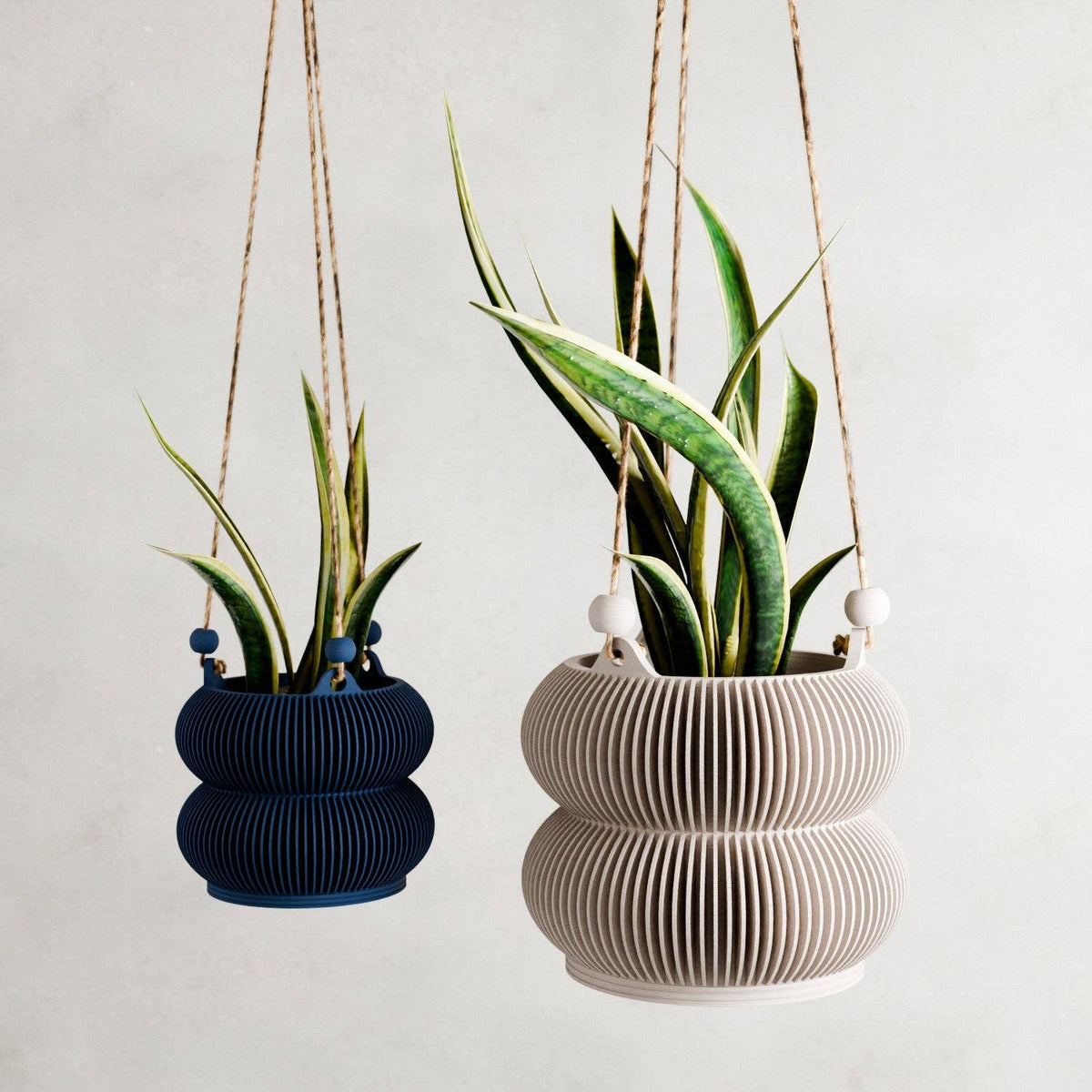 Hanging Bubble Planter | Double Bubble Collection