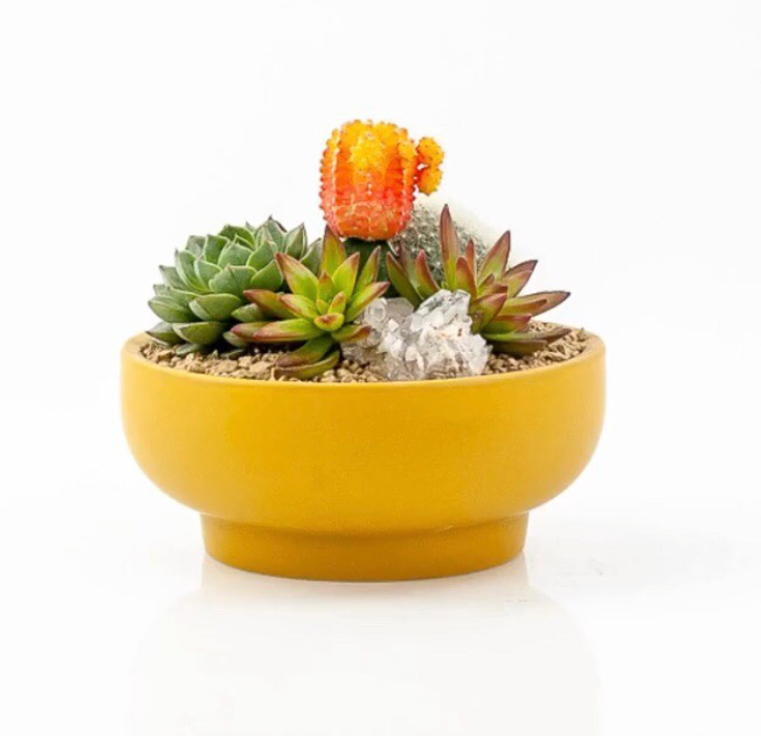7" Pedestal Home and Garden Bowls