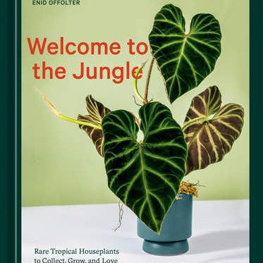 Welcome To The Jungle