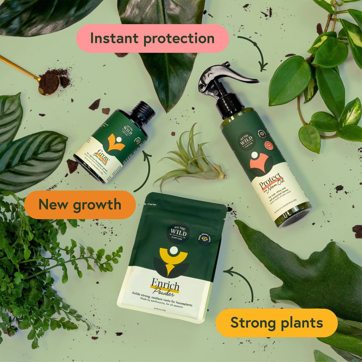 Houseplant Care Essentials Organic Starter Kit