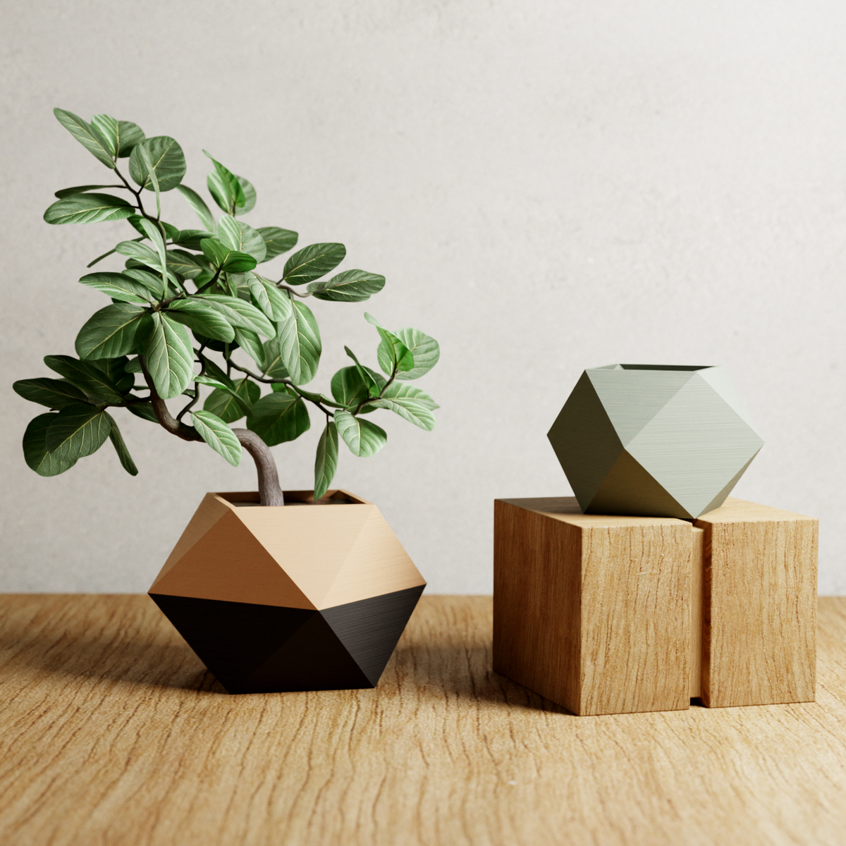 Modern Geometric Planter | ICO Collection