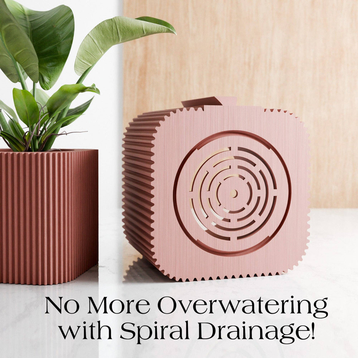 Hanging Wall Planter | Box Collection