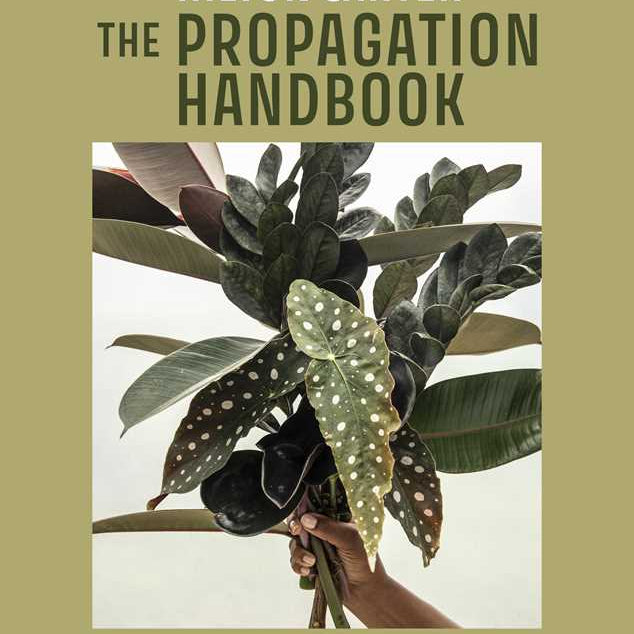 Propagation Handbook by Hilton Carter