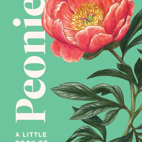 Peonies