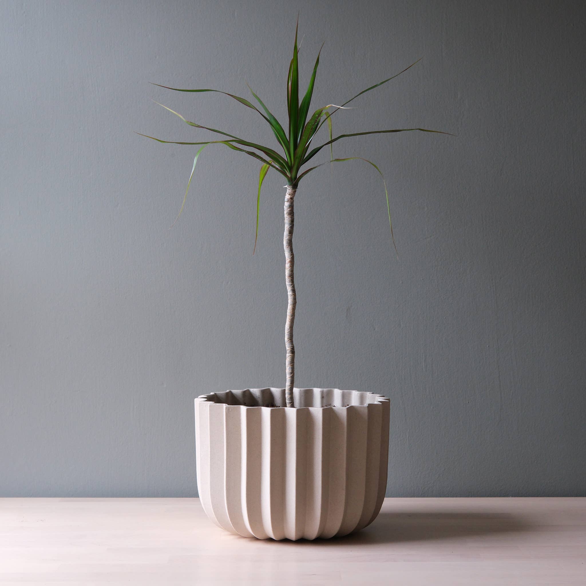 9" Wrap Ceramic Planter | Dune