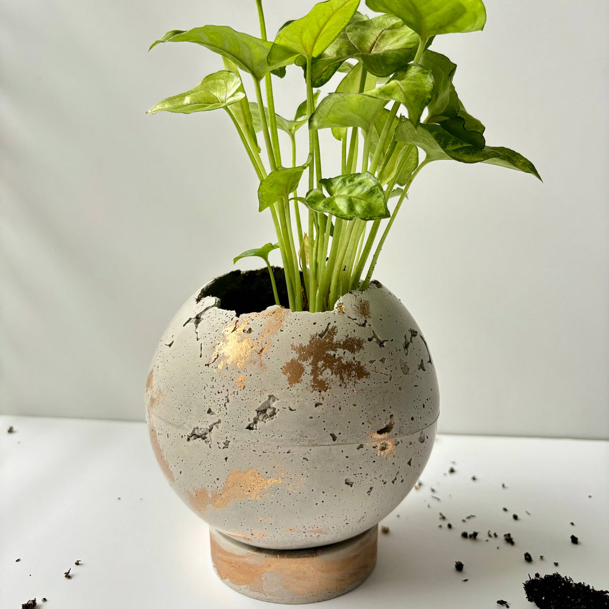 Moon Pot 5”