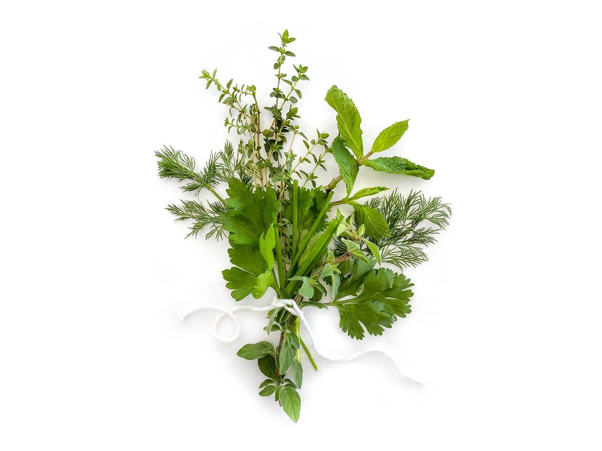 Herb Seed Drops - French