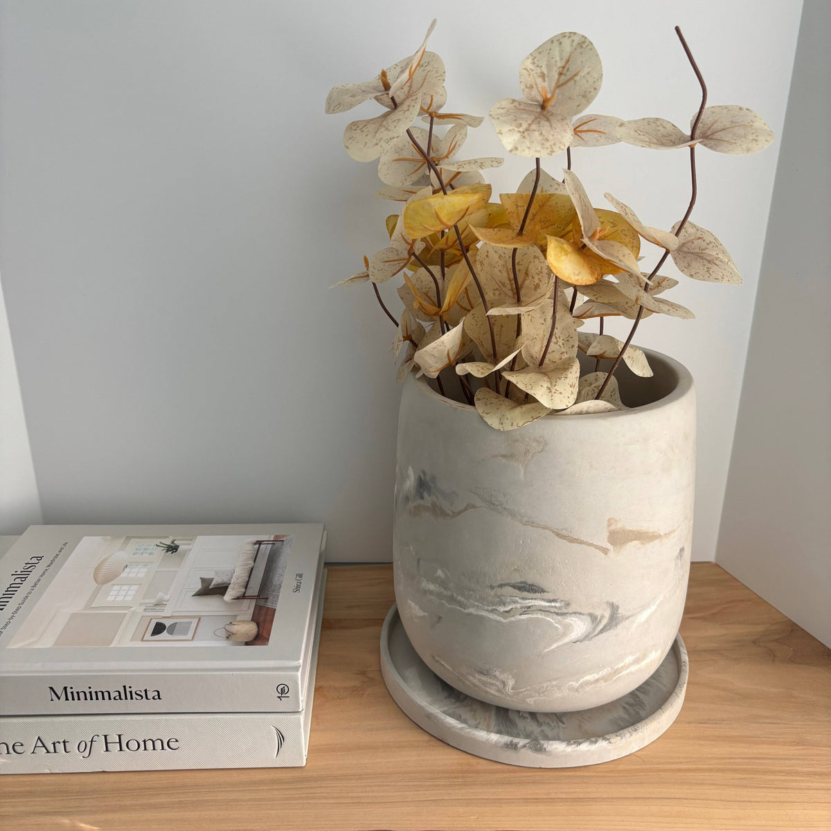 Luma - 7.5" Planter with Saucer | Concrete Plant Pot