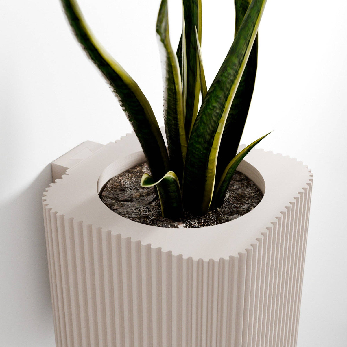 Hanging Wall Planter | Box Collection
